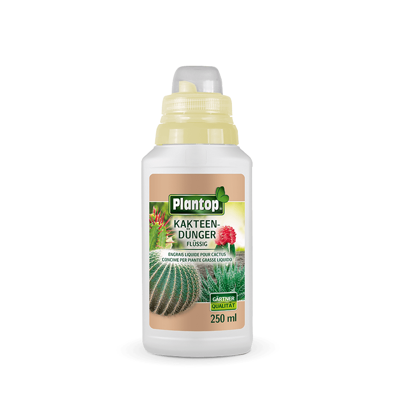 Plantop Kakteendünger 250ml