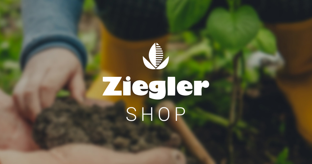 (c) Ziegler.shop