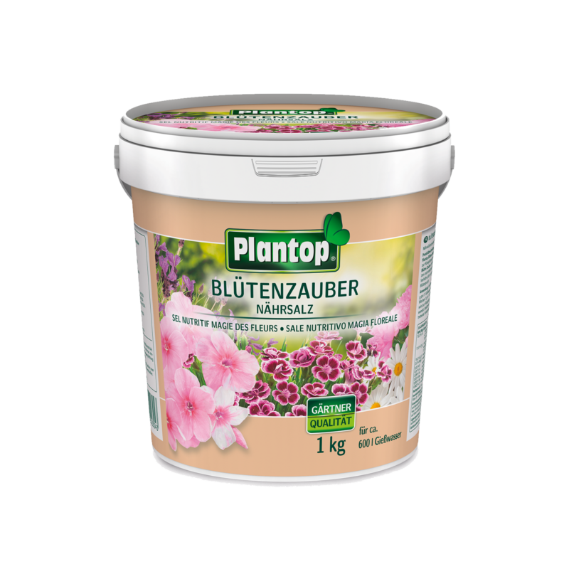 Plantop Blütenzauber
